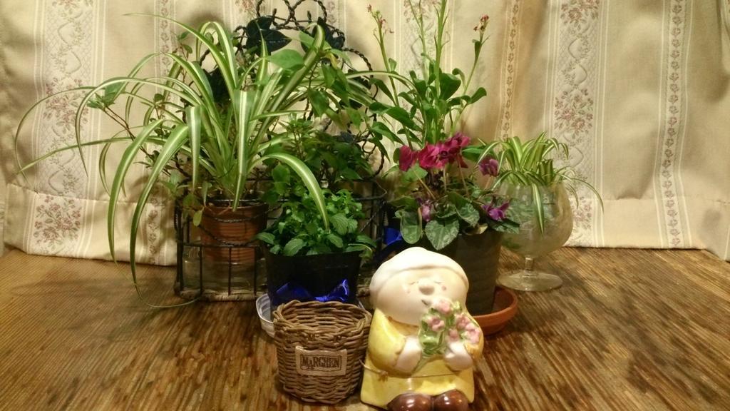 هاكوبا Gallery & Lodge Noichigo المظهر الخارجي الصورة